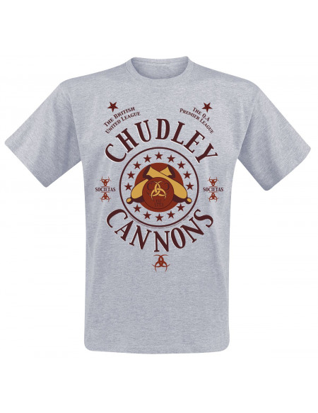 Harry Potter Chudley Cannons T-shirt gris chiné