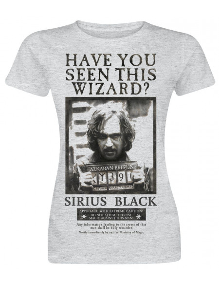 Harry Potter Have you seen this wizard? T-shirt Femme gris clair chiné