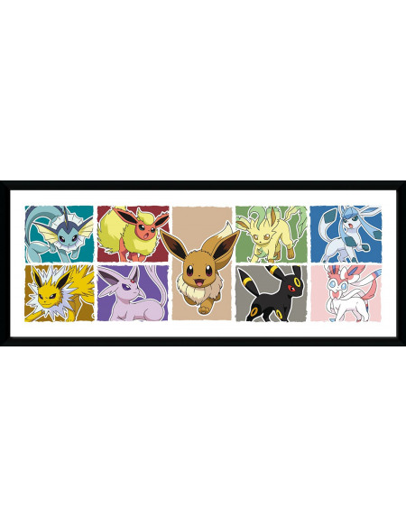 Pokémon Évolutions Évoli Photo encadrée multicolore