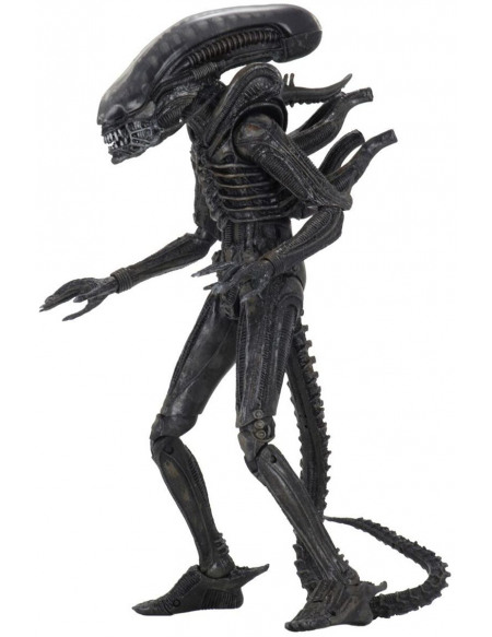 Alien 40ème Anniversaire - Big Chap Figurine articulée multicolore